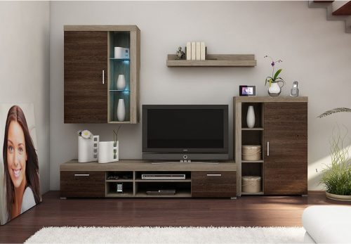 Regal Tomy II orah